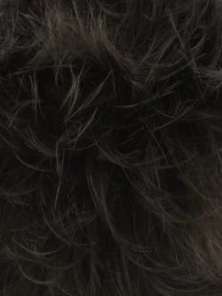 Anemone Half Wig By WigPro | Synthetic -Beautique Hair Shop 06GR Medium Chestnut Brown base with Light Golden Brown front