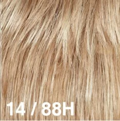 Sandy Wig By Dream USA | Double Mono Top -Beautique Hair Shop 14 88H 382b2fee 13e0 4233 8b0b 5fc291b4ee36