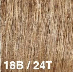 Michigan II Wig By Dream USA | Double Mono Top -Beautique Hair Shop 18B 24T 0475ba30 f936 4f99 81f1 66a4a1d670c7