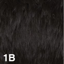 Missouri Wig By Dream USA | Double Mono Top 29 Missouri Wig By Dream USA | Double Mono Top -Beautique Hair Shop 1B 5ad4e190 354f 45ee 9450 96bf663fd49c