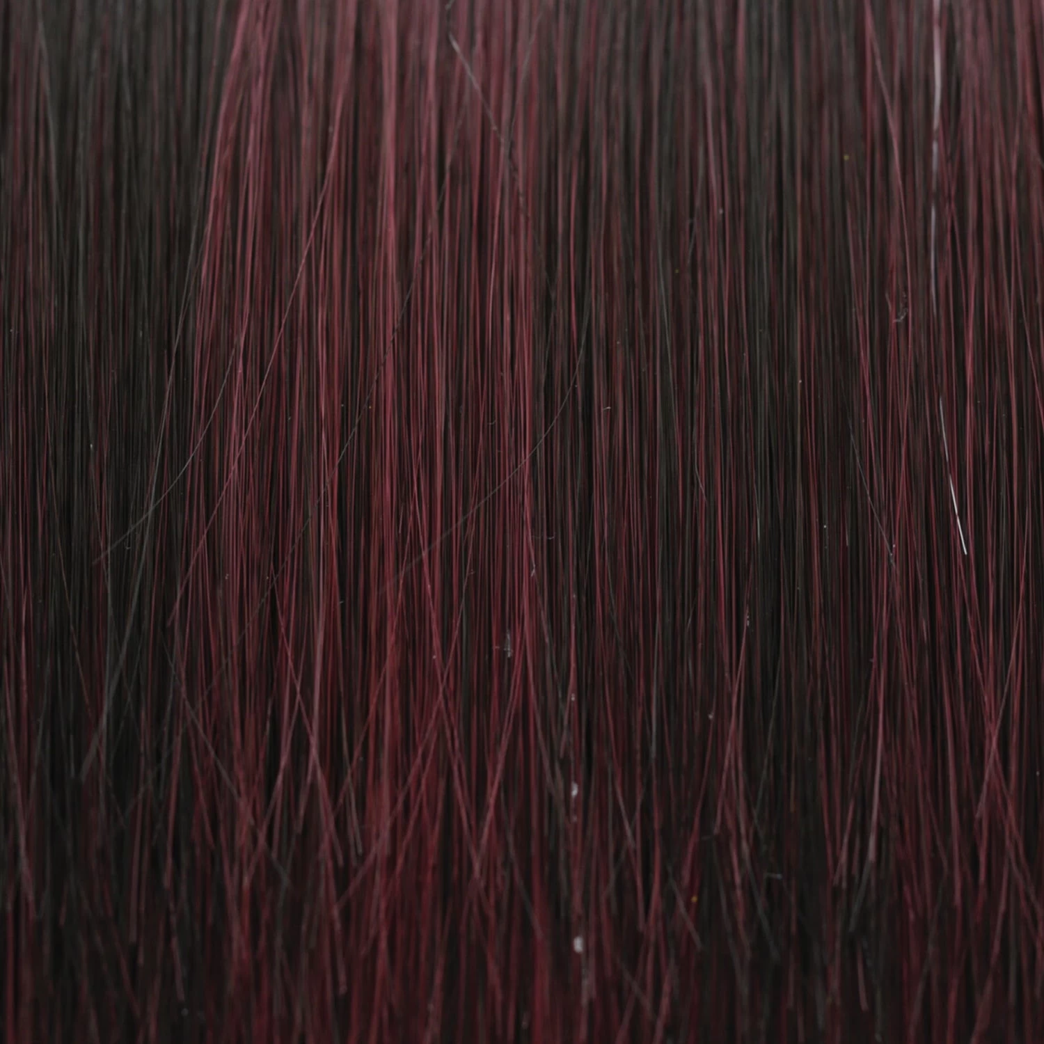 Modern Curls Wig By TressAllure 11 Modern Curls Wig By TressAllure - Image 9