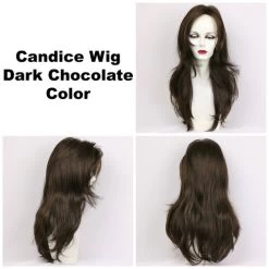 Candice Wig By Godiva's Secret Wigs -Beautique Hair Shop Candice Dk Choc 360 49398.1444674318.500.659