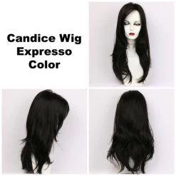 Candice Wig By Godiva's Secret Wigs -Beautique Hair Shop Candice Expresso 360 69778.1444674308.500.659