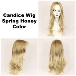Candice Wig By Godiva's Secret Wigs -Beautique Hair Shop Candice spring honey 20620.1461948957.500.659