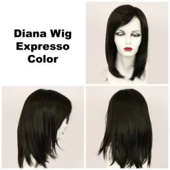 Diana LF Wig By Godiva's Secret Wigs 23 Diana LF Wig By Godiva's Secret Wigs -Beautique Hair Shop Diana Expresso 22558.1461952548.500.659