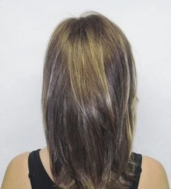 Diana LF Wig By Godiva's Secret Wigs 20 Diana LF Wig By Godiva's Secret Wigs -Beautique Hair Shop Diana back 95325.1442348212.500.659