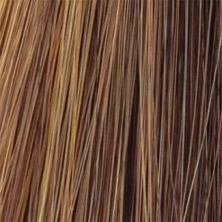 Bliss Wig By TressAllure | Synthetic -Beautique Hair Shop Honey Bean big f9210cc5 1324 4f15 9032 faee02596db3