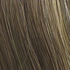 Breeze Wig By Raquel Welch -Beautique Hair Shop R12 26H HONEY PECAN 47195512 69e6 4114 ae8b 07560a4de07a