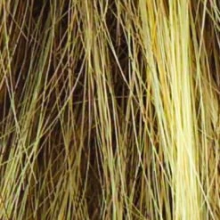 Salsa Wig By Raquel Welch | Large Cap 36 Salsa Wig By Raquel Welch | Large Cap -Beautique Hair Shop R13F25 PRALINE FOIL b4786388 9763 4653 9824 5831d9985606