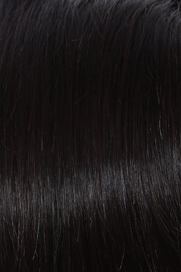 Grand Entrance Wig By Raquel Welch 12 Grand Entrance Wig By Raquel Welch - Image 10