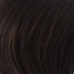 Breeze Wig By Raquel Welch -Beautique Hair Shop R6 DARK CHOCOLATE 8a1b39e3 b1e8 40ad 9c89 792be1593e69