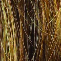 Salsa Wig By Raquel Welch | Large Cap 32 Salsa Wig By Raquel Welch | Large Cap -Beautique Hair Shop R9F26 MOCHA FOIL 271f6265 1c1b 42bf 8c7f a51f6d268b63