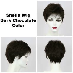 Sheila Petite Wig By Godiva's Secret Wigs -Beautique Hair Shop Sheila Dk choc 70175.1458852612.1280.1280