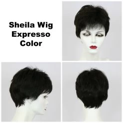 Sheila Wig By Godiva's Secret Wigs -Beautique Hair Shop Sheila Expresso 46658.1458852394.1280.1280