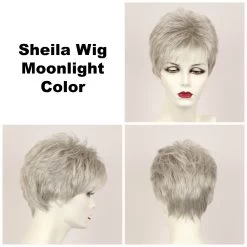 Sheila Wig By Godiva's Secret Wigs -Beautique Hair Shop Sheila Moonlight 15326.1461019377.1280.1280
