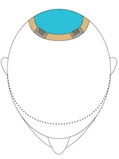 Top This 8" By Jon Renau | Remy Human Hair 26 Top This 8" By Jon Renau | Remy Human Hair -Beautique Hair Shop TopThis placement b960d968 c827 4f91 987b 7c3fca639ddd