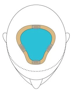 EasiPart XL 8" | Remy Human Hair | Renau Exclusive -Beautique Hair Shop easiPartXL placement color 9276ed3f a7b8 47d4 941f 02288e24bbff