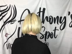 Let's Rendezvous Wig By Raquel Welch -Beautique Hair Shop image00002 0ff8d142 0fe5 4fa2 8689 c1e5cfc850d0